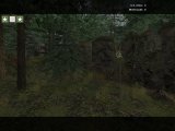 dod_copse